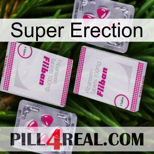 Super Erection 33.jpg